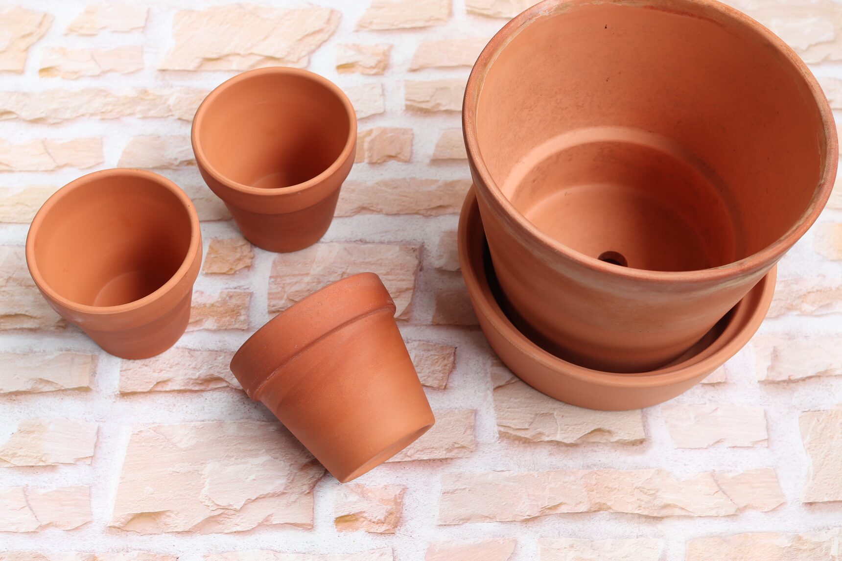 素焼きの植木鉢