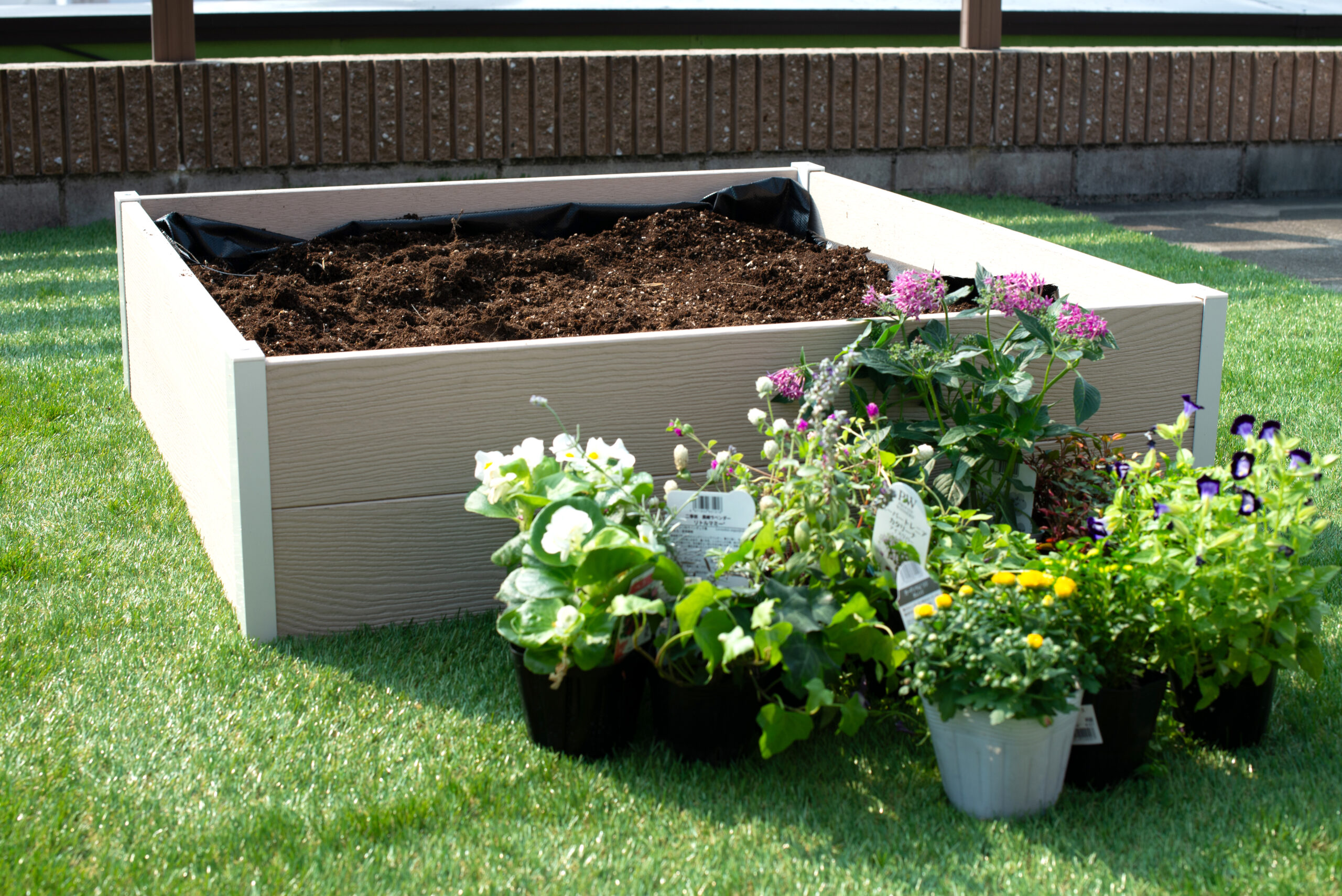 レイズドベッド、屋上、小さな庭
