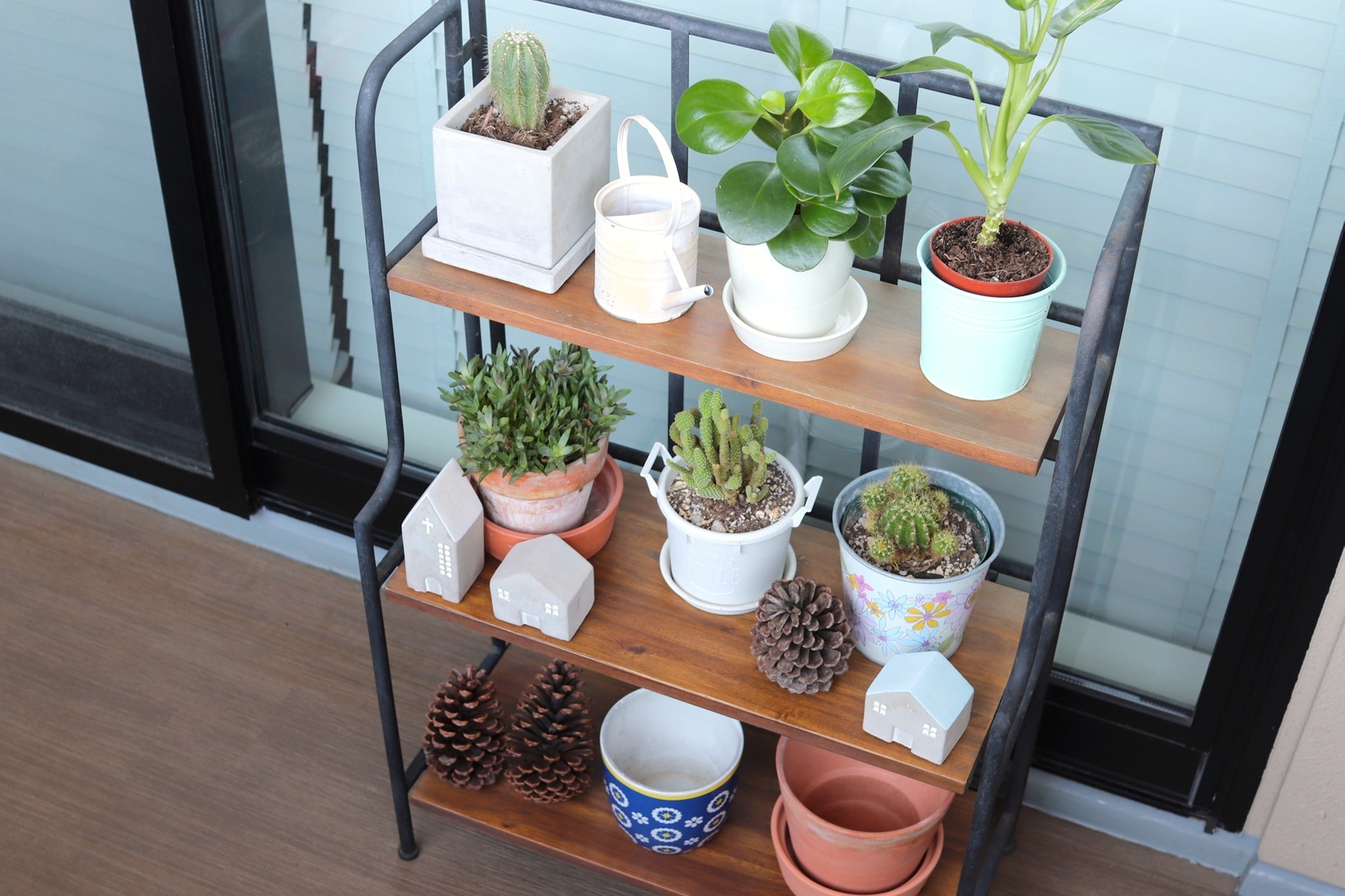 コンパクトな棚に植物を並べる