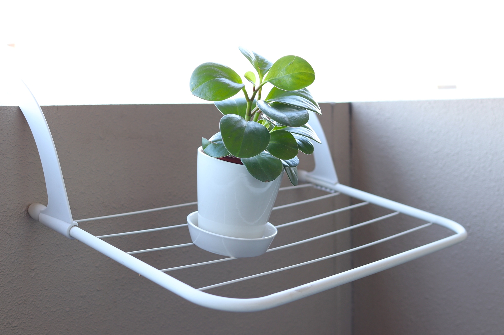 手すりに掛けた棚に置いた植物