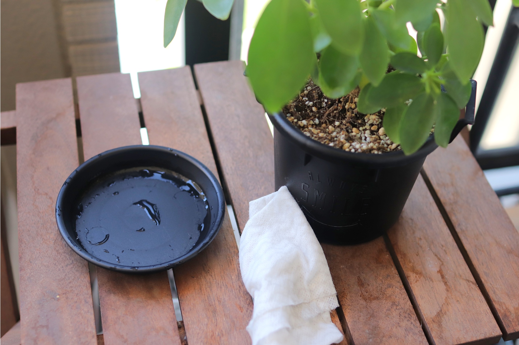 植木鉢を拭いてきれいにする