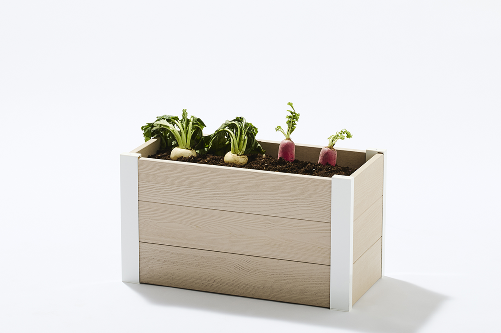 レイズドベッド,ベージュ