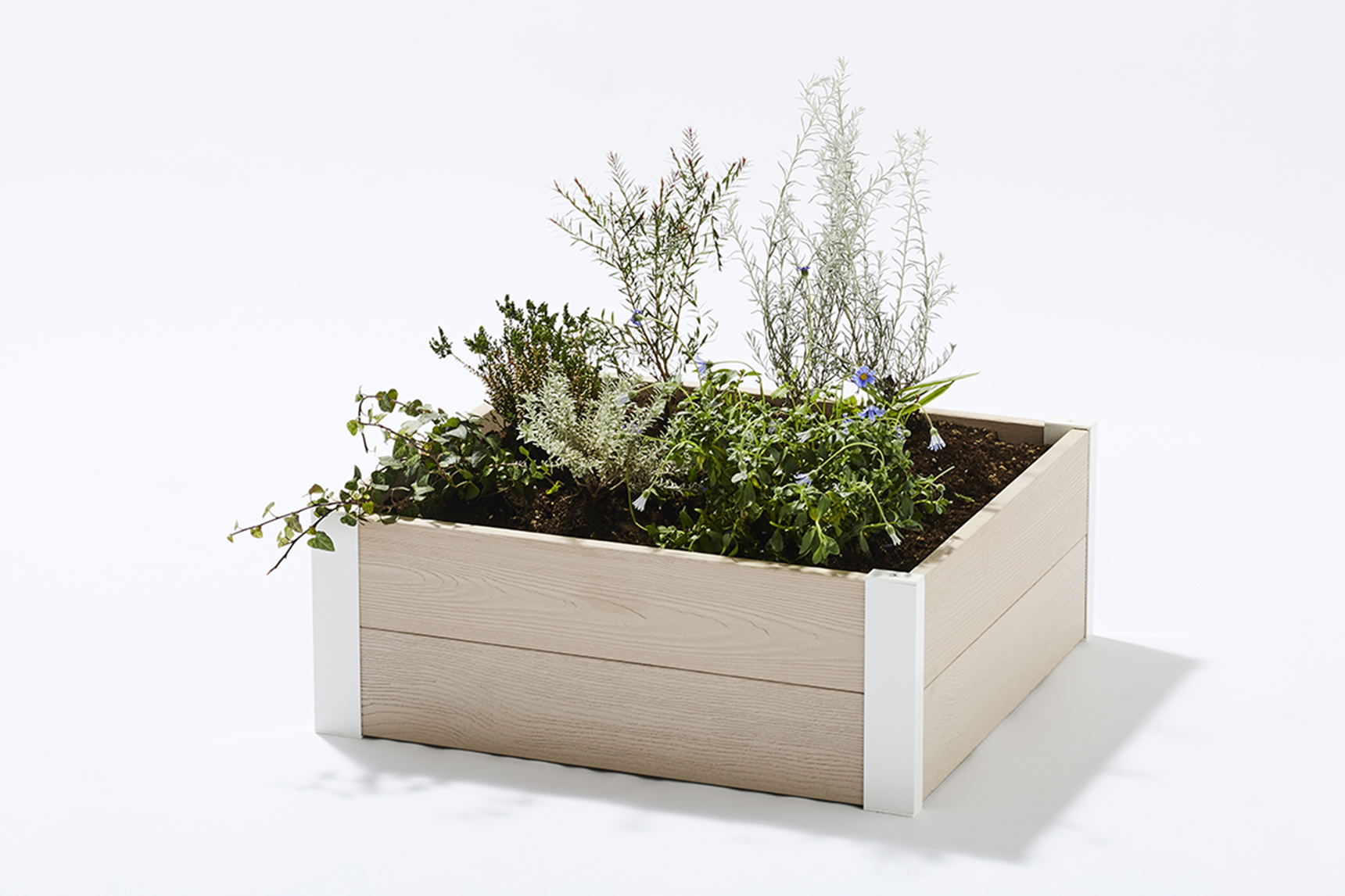 レイズドベッド,ベージュ