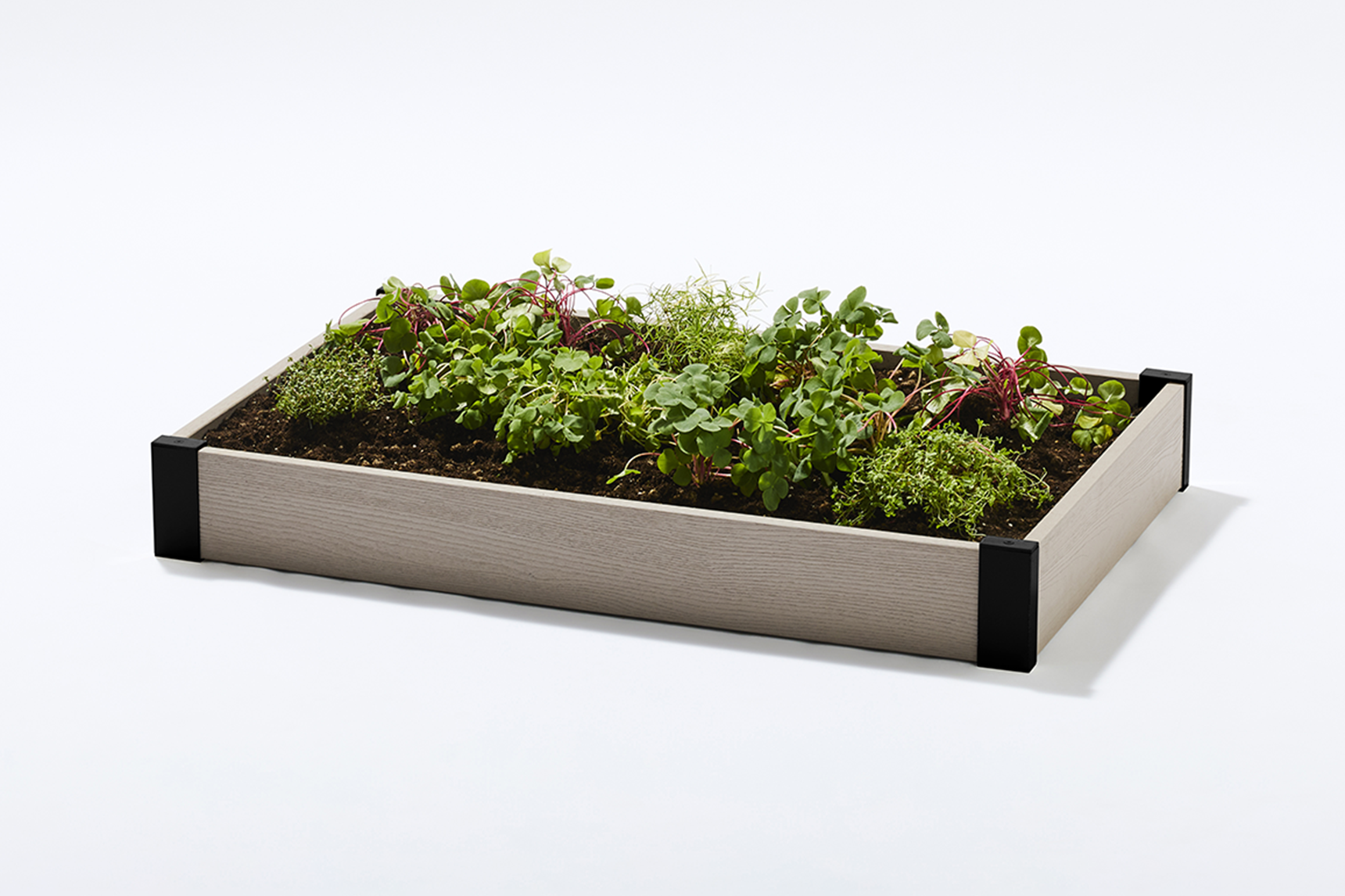 レイズドベッド,グレージュ