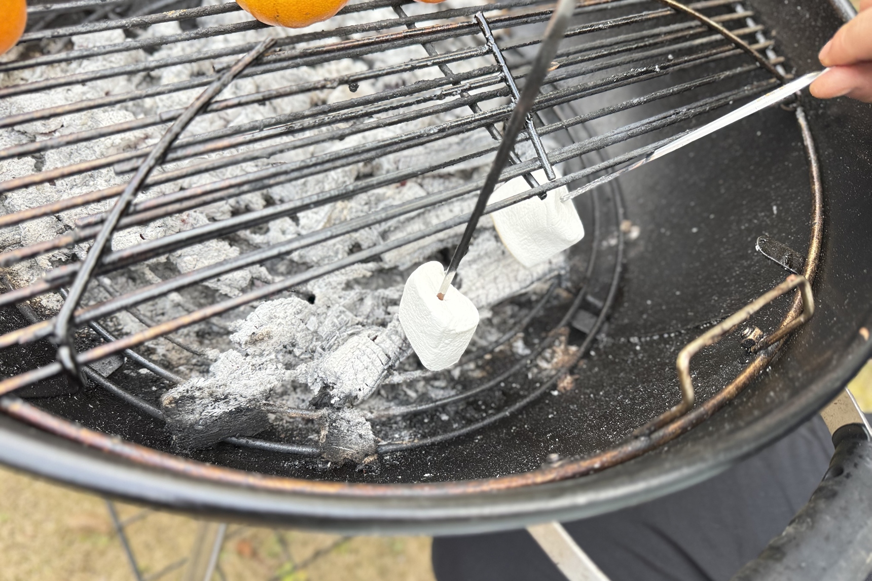 バーベキューでマシュマロを焼く
