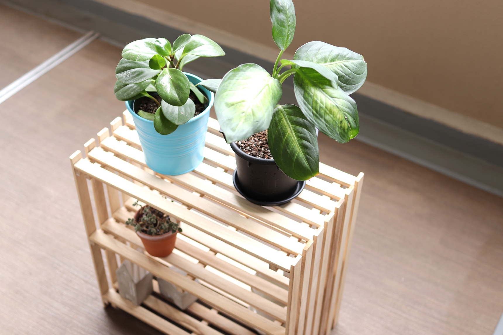 すのこ棚に置いて植物の日当たりと風通しをよくする