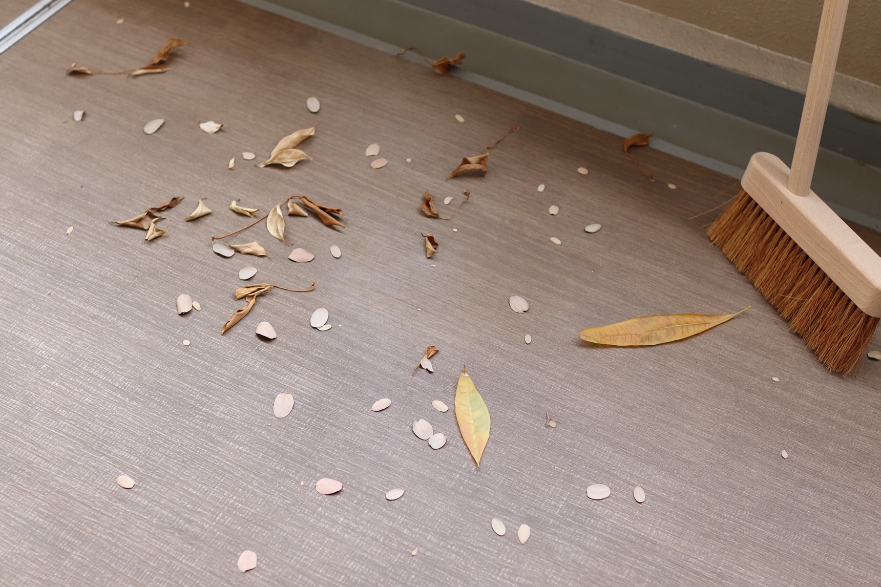 ベランダの落ち葉