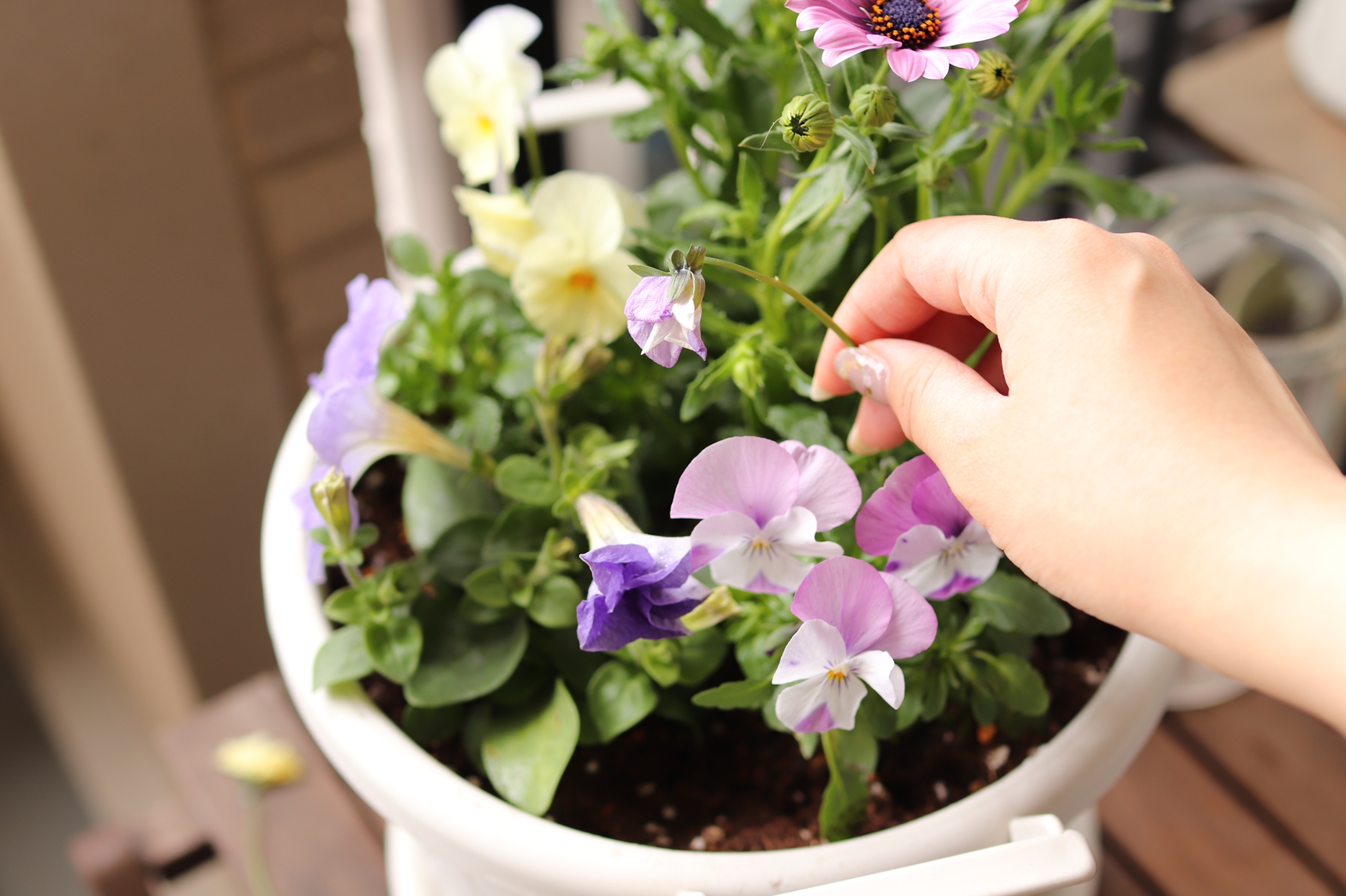 花がらを摘み取る