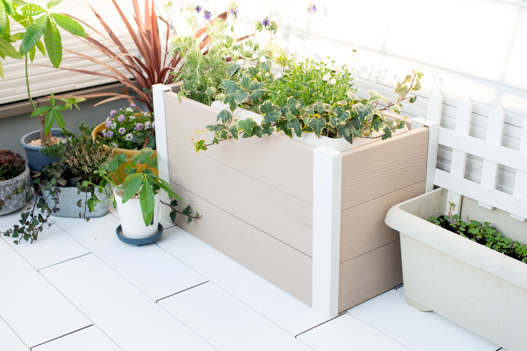 デッキ,ホワイト,レイズドベッド