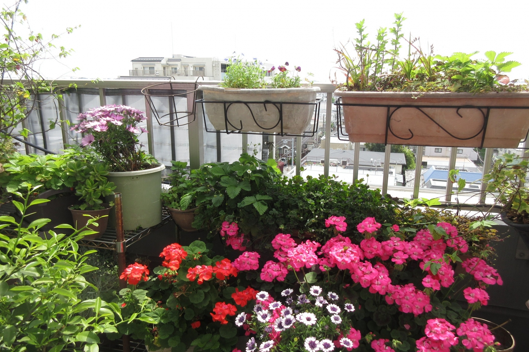 ベランダの内側に植木鉢を吊るす