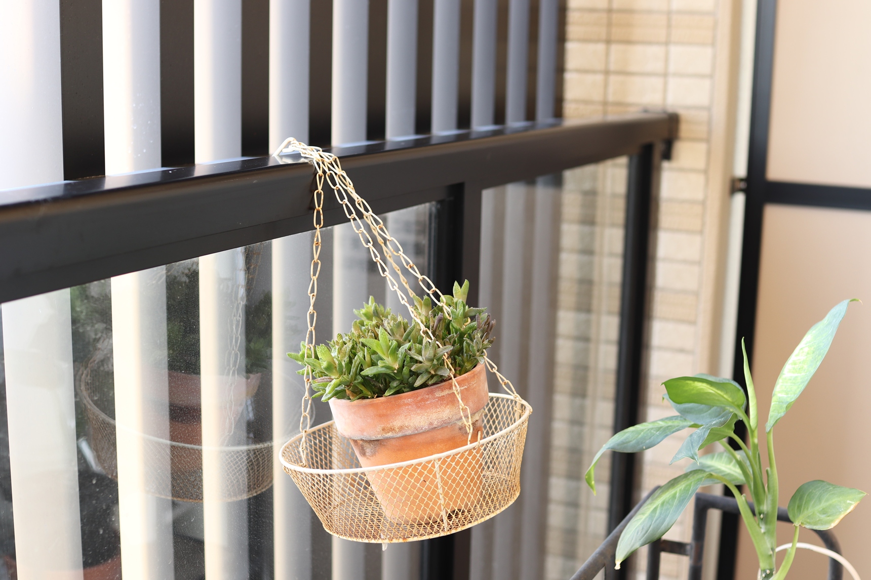 ベランダの手すりに植木鉢を吊るす
