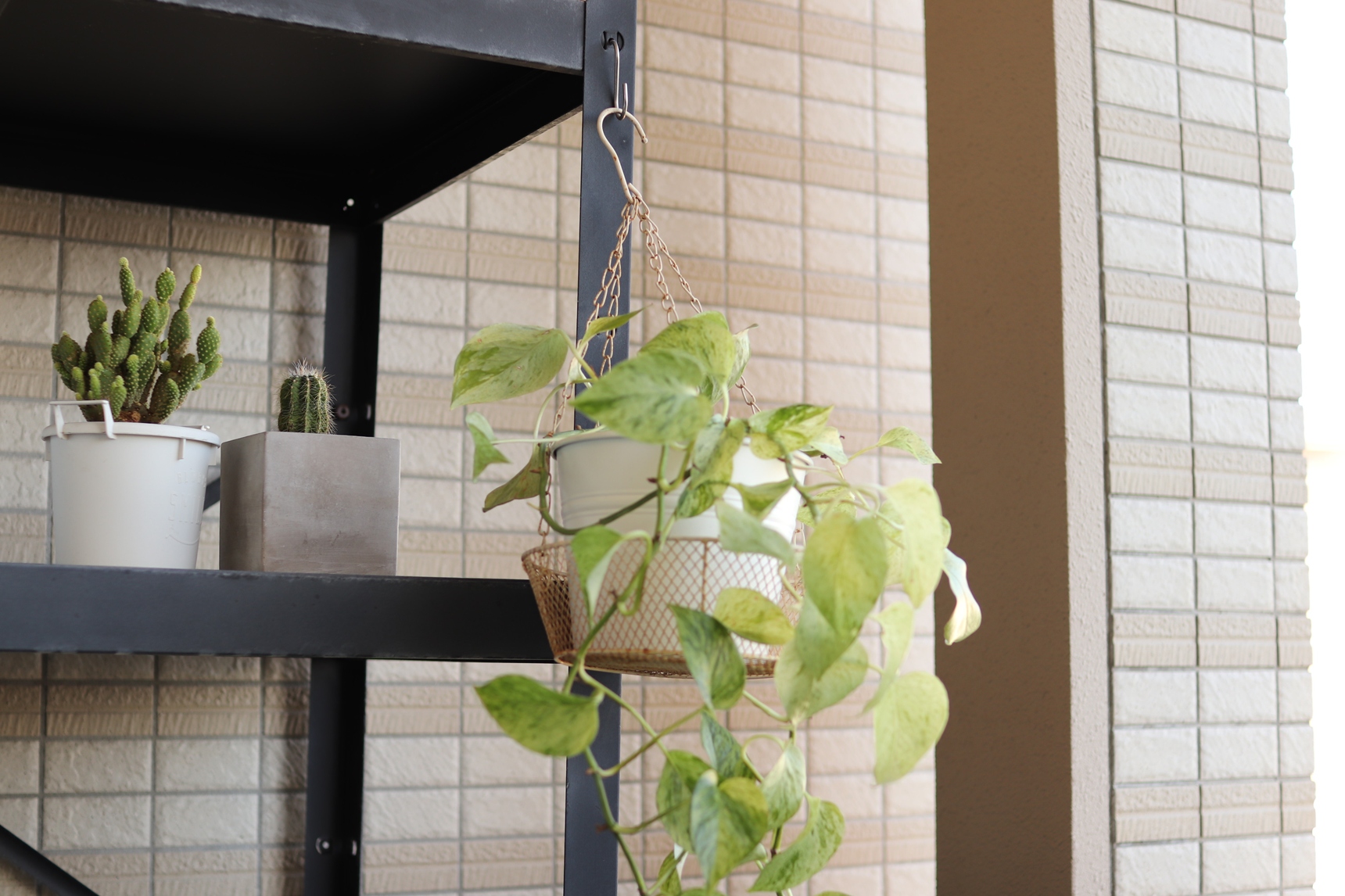 ベランダの棚に植木鉢を吊るす