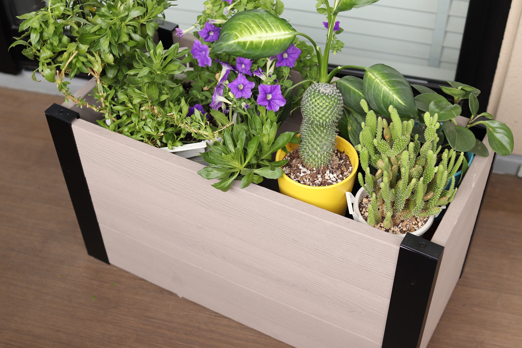 レイズドベッドで寄せ植え風に