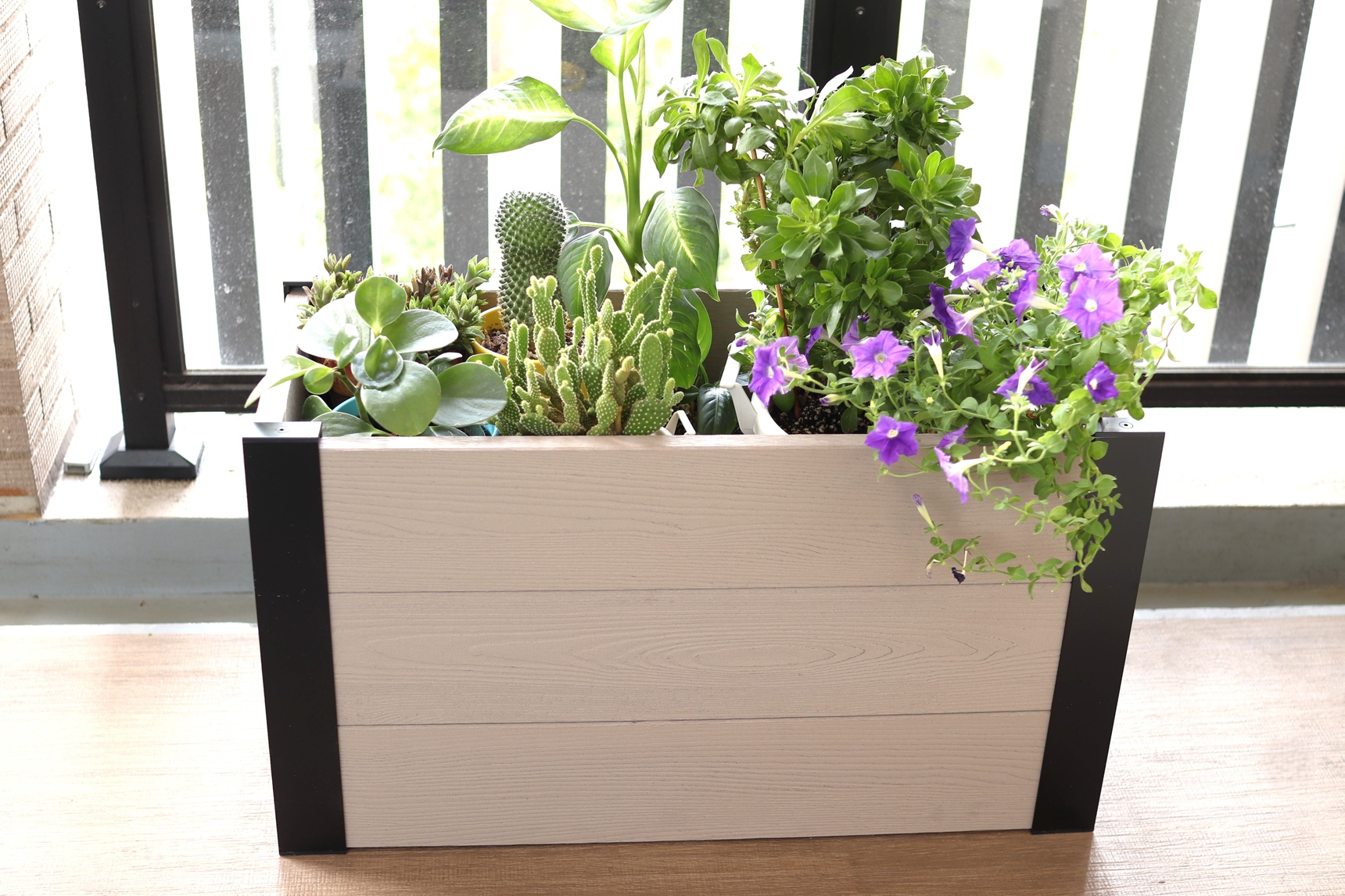 レイズドベッドでボリュームのある寄せ植えに